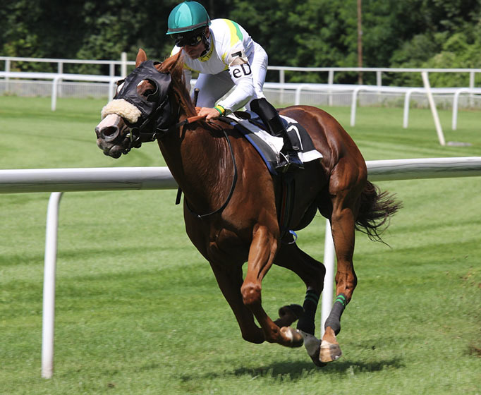 Events And Activities In Hidden Valley And Laurel Highlands PA
